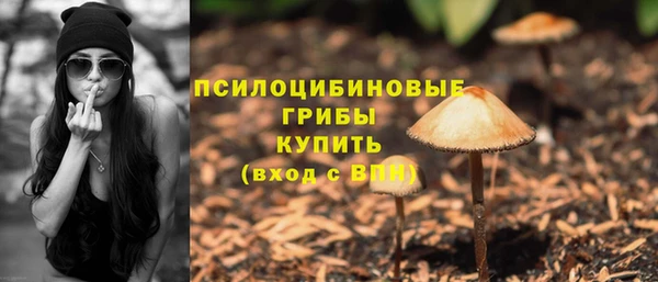 соль ск Кукмор