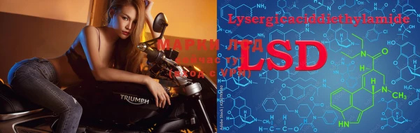 PSILOCYBIN Кулебаки