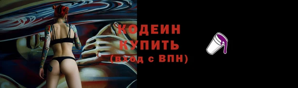 соль ск Кукмор