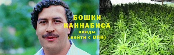 соль ск Кукмор